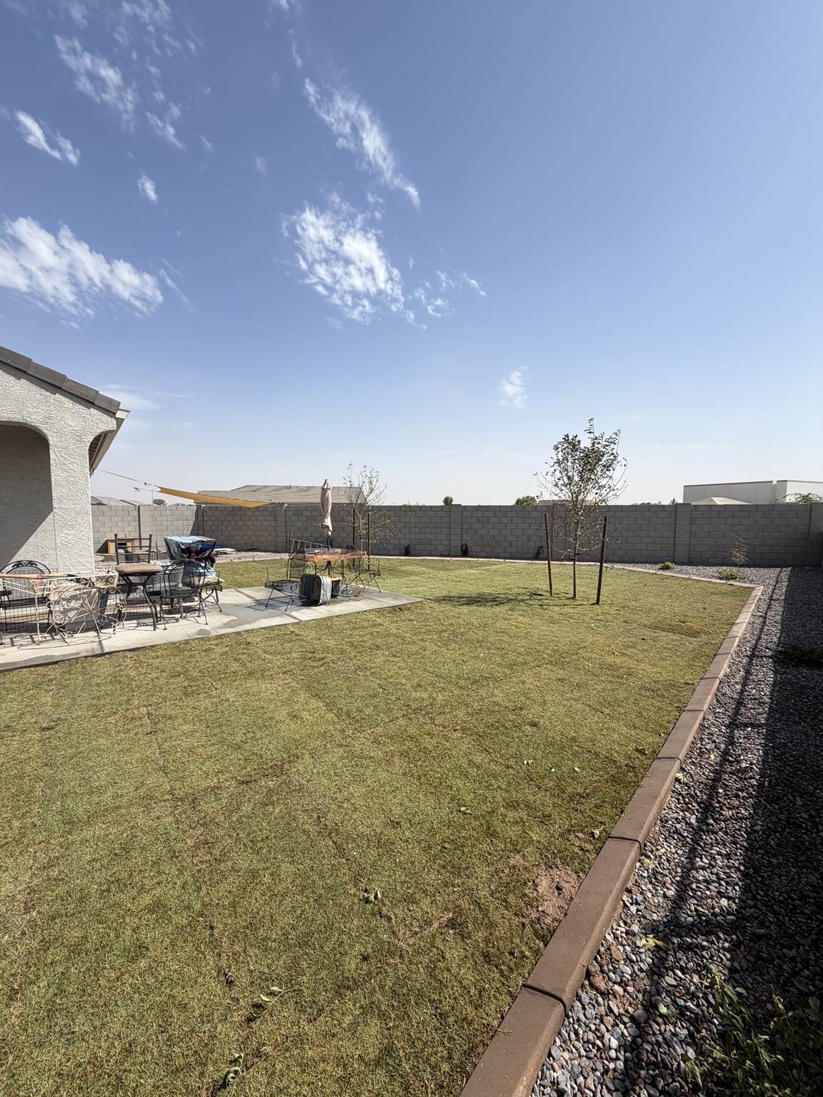 Large maintained backyard lawn with trees and landscape borders
